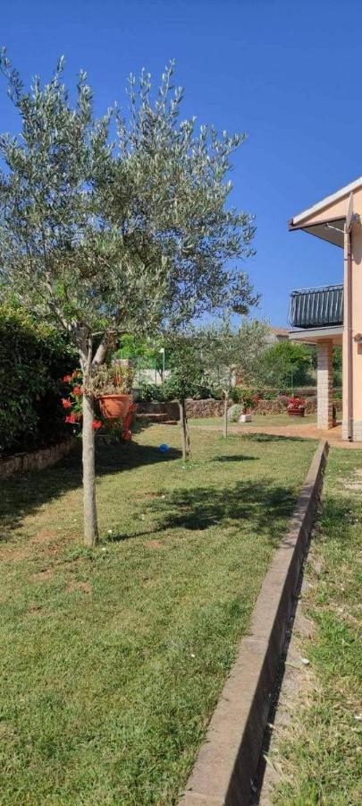 Apartment Eva Rovinjsko Selo Εξωτερικό φωτογραφία